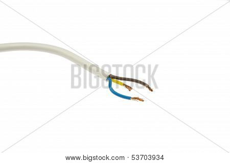 Cable With Single Lines
