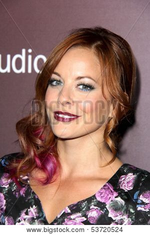 LOS ANGELES - NOV 6:  Amy Paffrath at the Hollywood Reporter's Next Gen 20th Anniversary Gala at Hammer Museum on November 6, 2013 in Westwood, CA