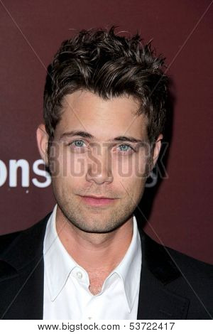 LOS ANGELES - NOV 6:  Drew Seeley at the Hollywood Reporter's Next Gen 20th Anniversary Gala at Hammer Museum on November 6, 2013 in Westwood, CA