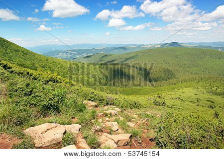 mountains covered trees and blue sky                                    