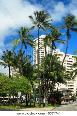 Hotel In Waikiki buurt