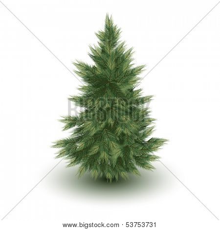 Christmas tree. pine image isolated on white