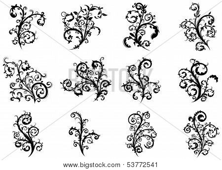 Floral elements collection