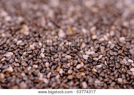 Organic Chia Seeds