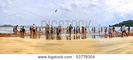 Goan people come together picking up a hugh fishing net