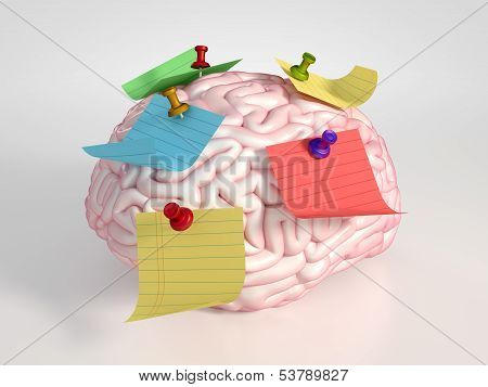 Brain And Stickers
