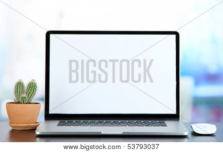 Laptop and cactus in flowerpot on wooden table
