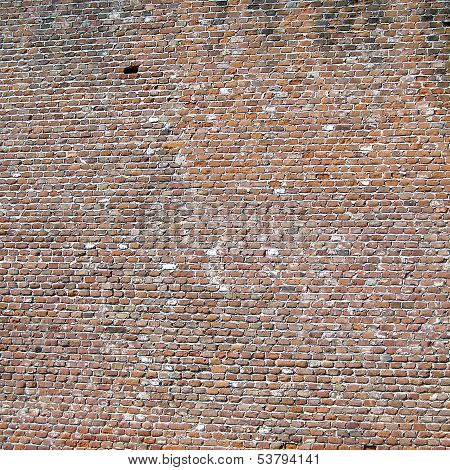 Brick Wall