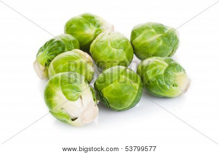 Eecological Brussels Sprout