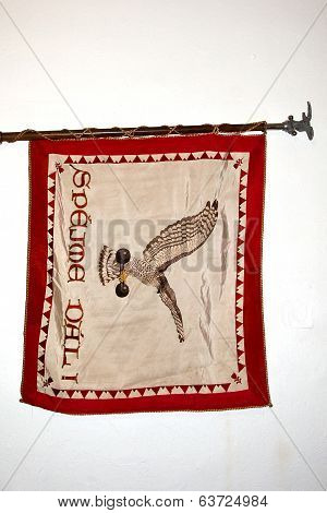 The historic flag of Czech Sokol Organization