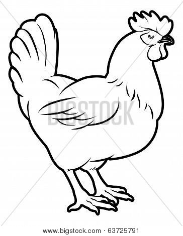 Chicken Illustration