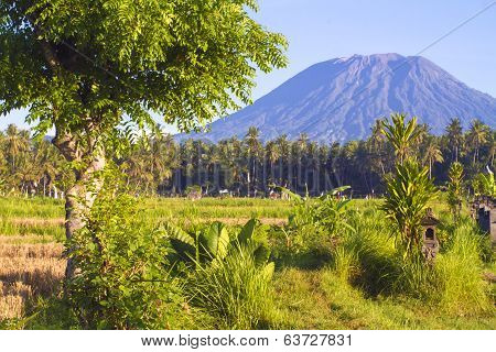 Mt. Agung, Amed, Bali.
