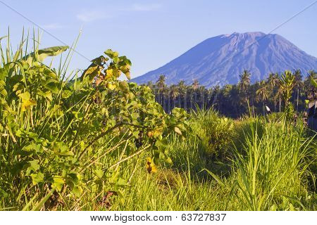 Mt. Agung, Amed, Bali.