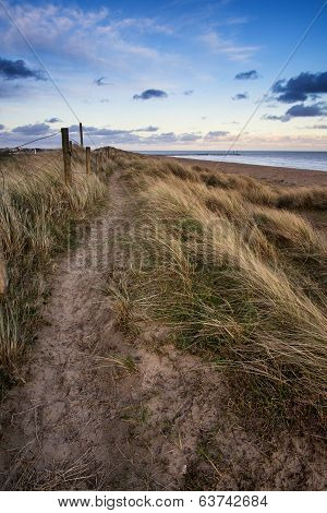 Blue Sky Summer Beach Sunset Landscape