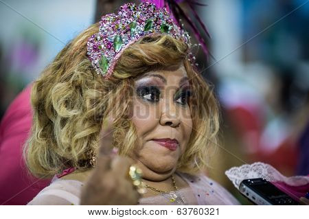 Carnaval 2014 - Rio de Janeiro