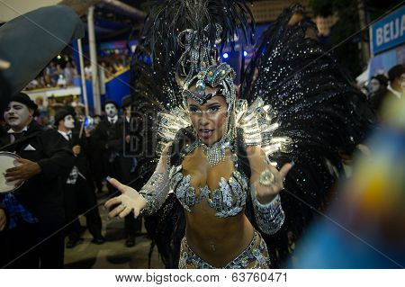 Carnival 2014 - Rio de Janeiro