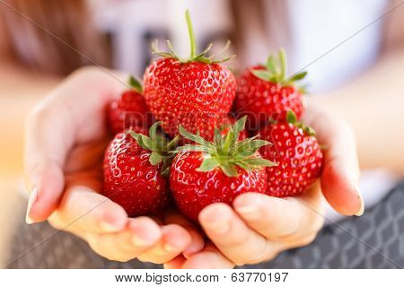 Fresh Strawberries Picked From A Strawberry Farm