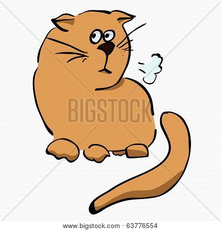 little unhappy light brown cat