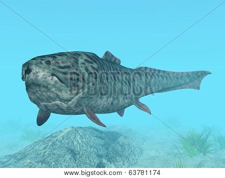 Dunkleosteus