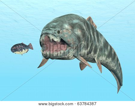 Dunkleosteus