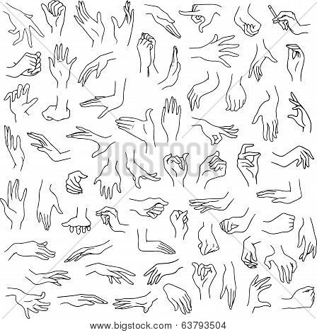 Woman Hands Pack Lineart
