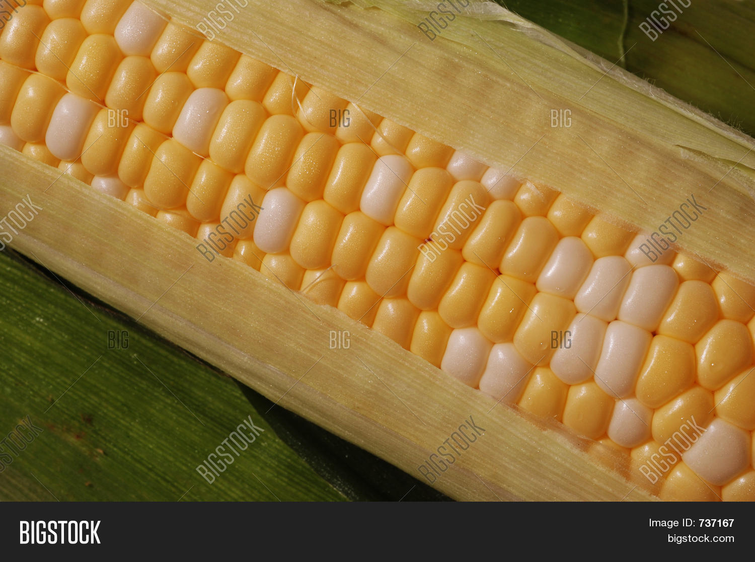 Image Preview