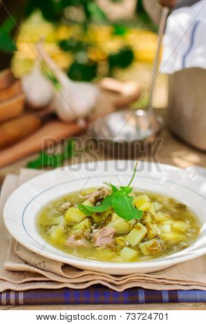 A Plate Of Sorrel Soup