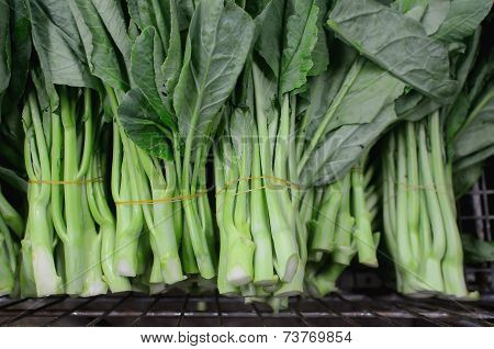 Chinese Broccoli Vegetables In Basket