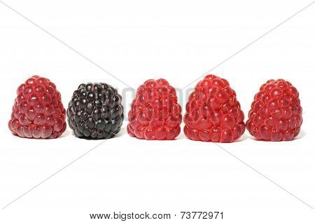 Raspberry mix
