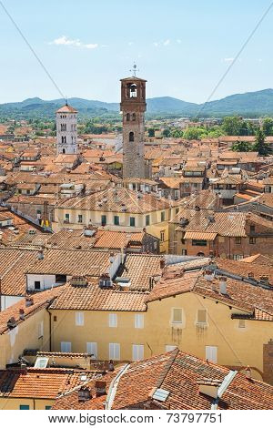 Panorama of Lucca from the Torre Guinigi 