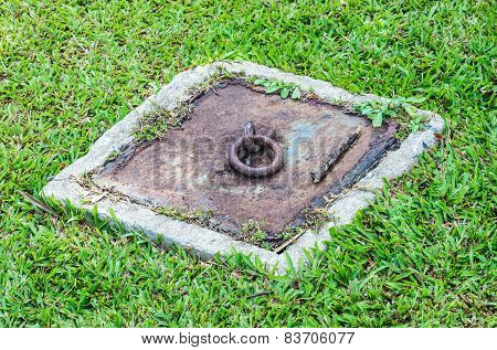 Rustry Drain Cap