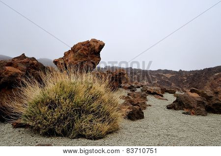 National Park del Teide