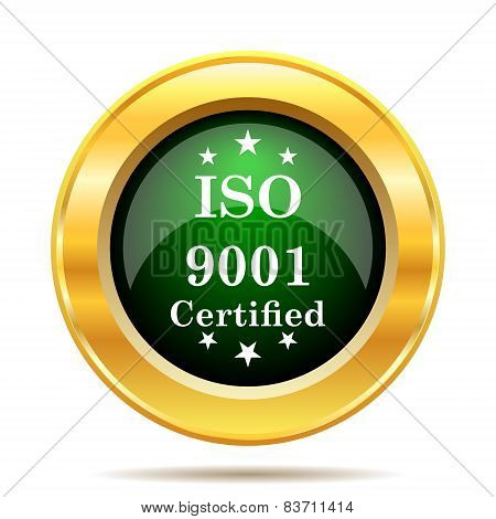 Iso9001 Icon