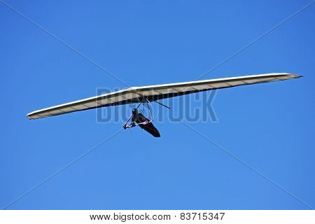 Hang Glider