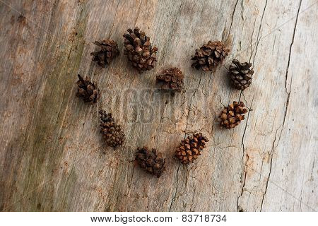 Cones In The Form Of Heart