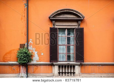 Window Shutter