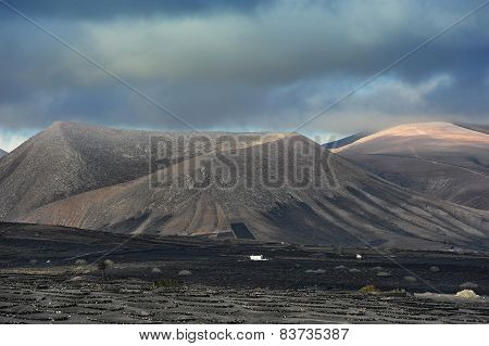 Vineyards At La Geria Valley, Lanzarote Island, Canary Islands, Spain