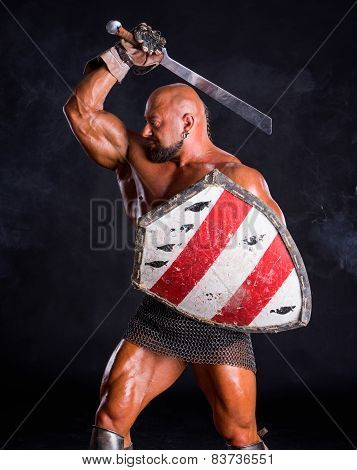 Handsome Muscular Ancient Warrior