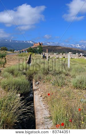La Calahorra castle and farmland.