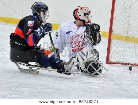 Sledge Hockey Goalkeeper And Striker