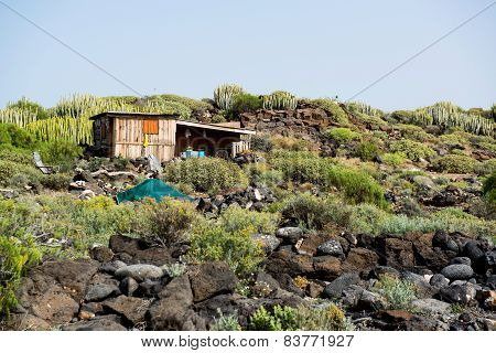 Self-made Hovel In A Tropics