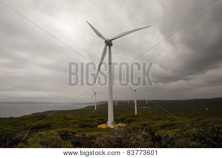 A scenic view of Albany Wind Farm in a cloudy weather
