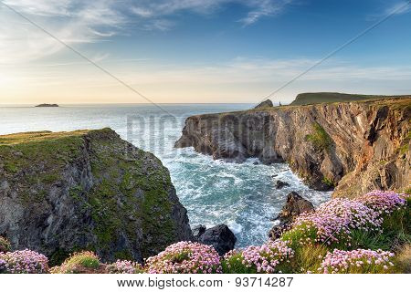 Cornish Clifftops