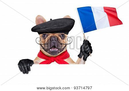 French Wine Dog