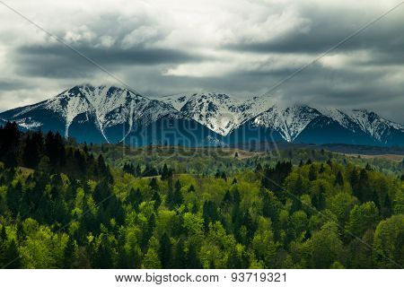 Mountain
