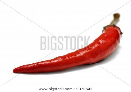 Red Hot Chili Pepper