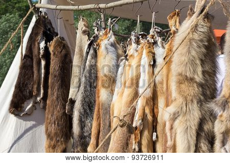 Pelts Of Fur Animals Hang On Rope