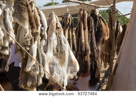 Pelts Of Fur Animals Hang On Rope
