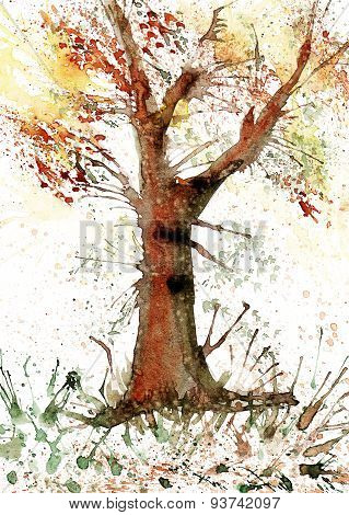 Autumn tree