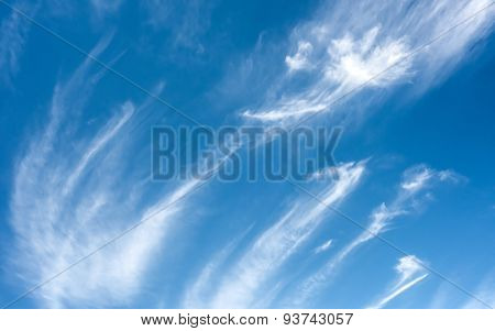 bridht blue sky with clouds